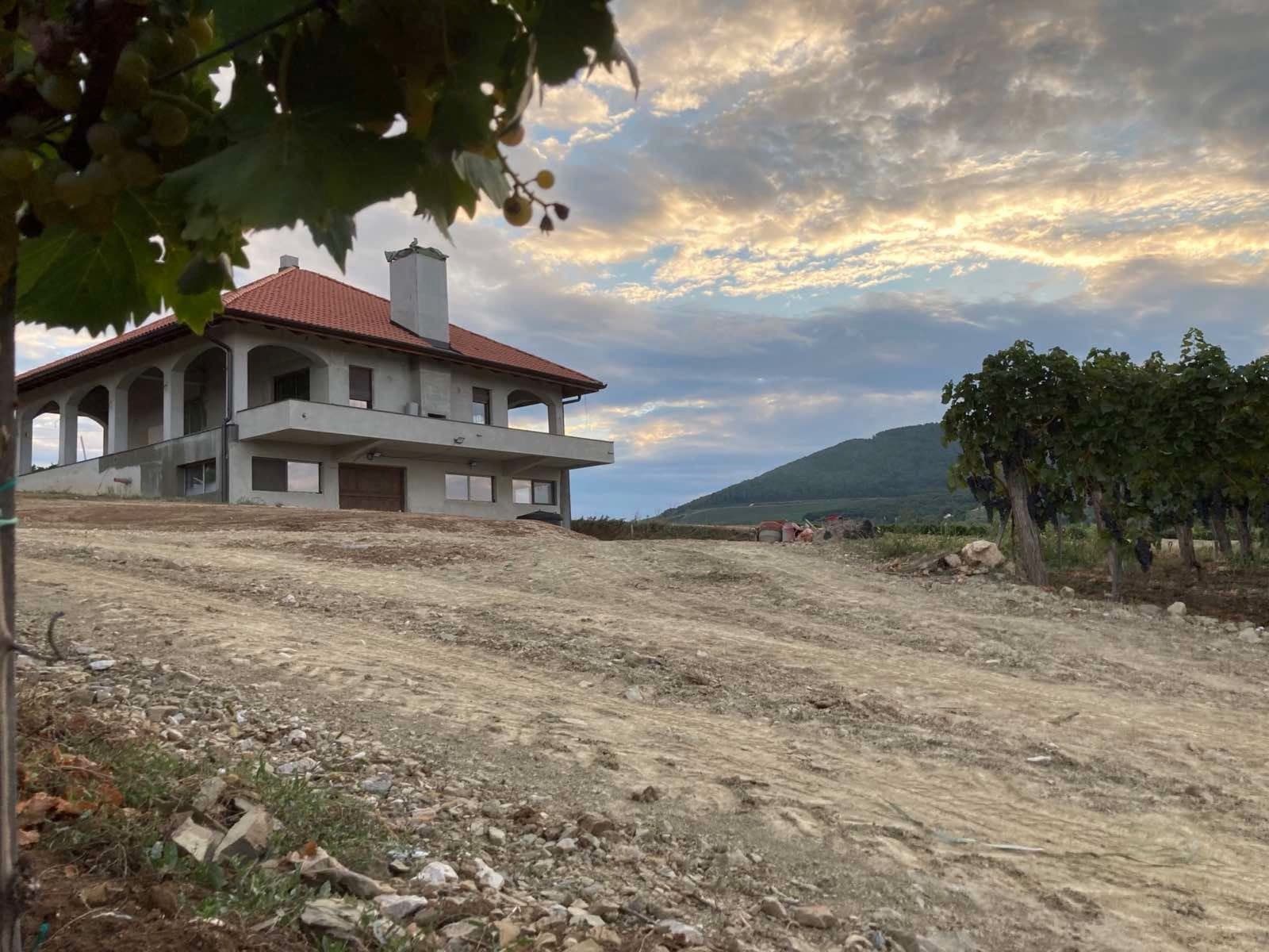 Vinarija Savić, Topola — prikaz izvedenog projekta, fotografija 5 od 34