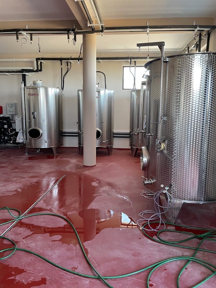 Vinarija Savić, Topola — prikaz izvedenog projekta, fotografija 16 od 34